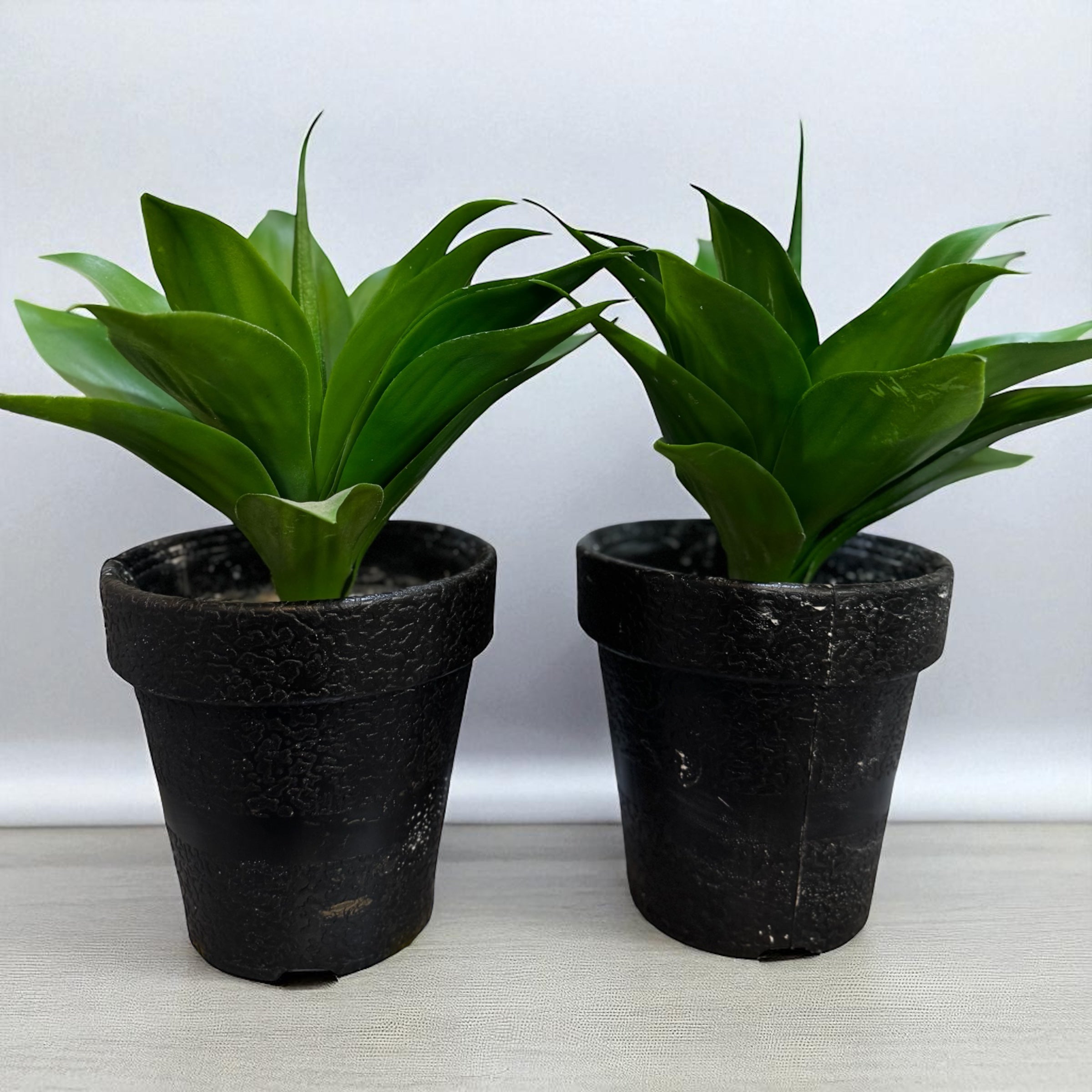 Emerald Duo Pot