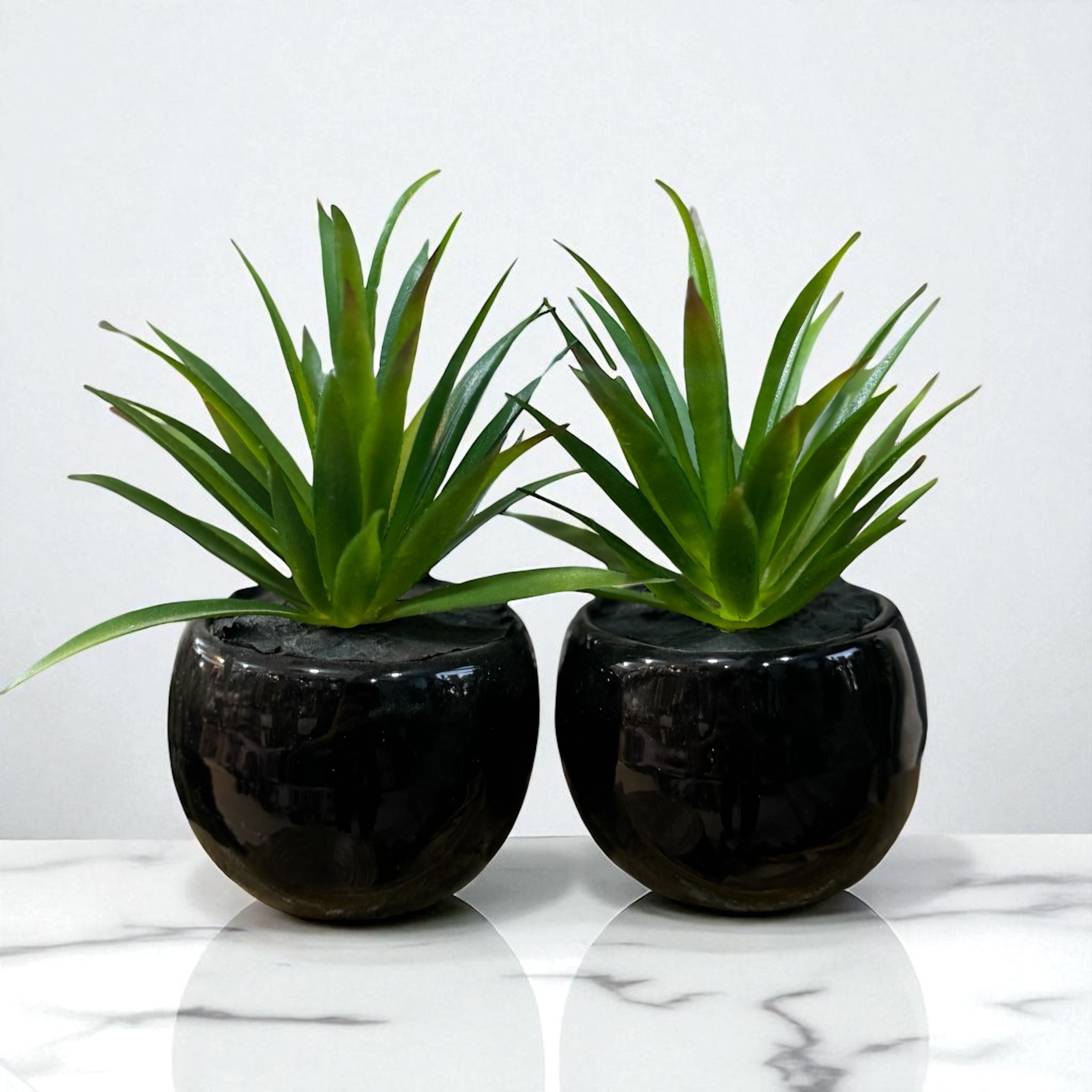 Aloe Charm Pot Set