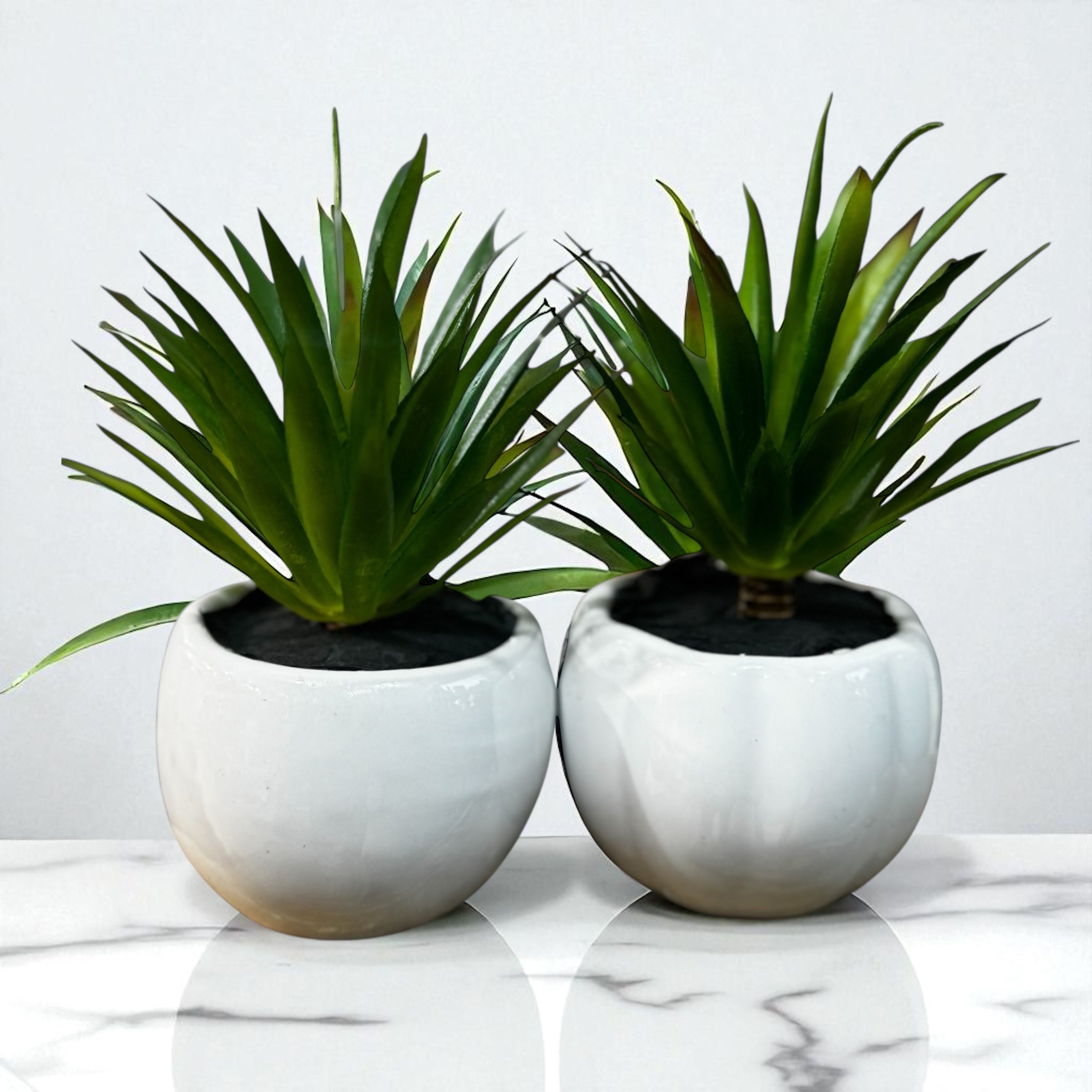 Aloe Charm Pot Set