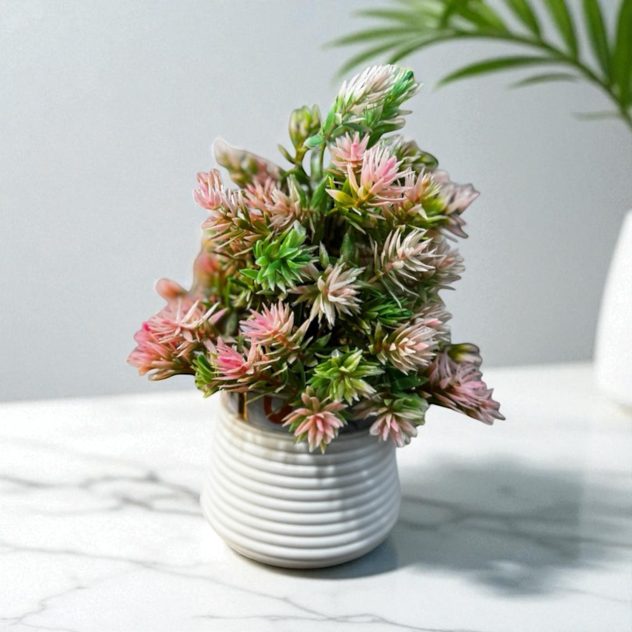 Blush Succulent Pot